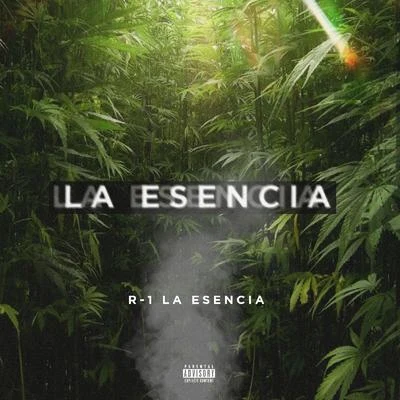 R-1 La Esencia La Esencia