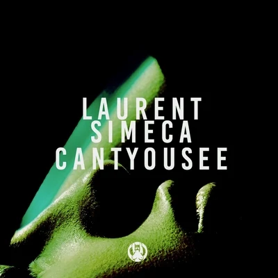 Laurent Simeca Cant You See