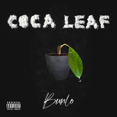 Bunlo Coca Leaf