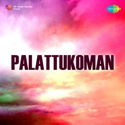 Various Artists/P. Leela Palattukoman