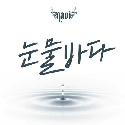 NAVI 눈물바다