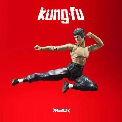 XaeboR KUNG-FU