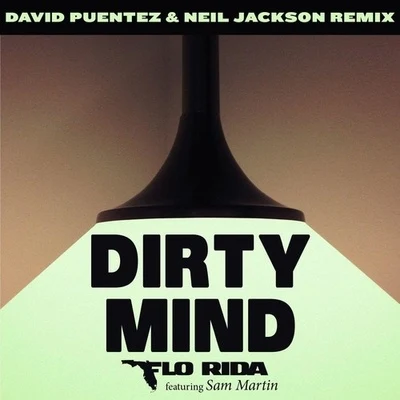 Flo Rida Dirty Mind (David Puentez & Neil Jackson Remix)