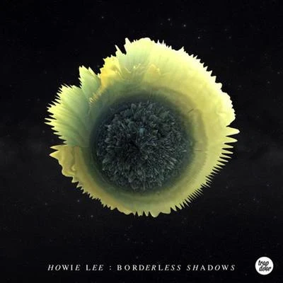 Howie Lee Borderless Shadows