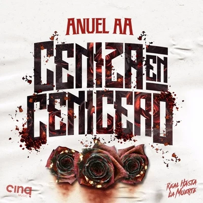 Anuel AA Ceniza En Cenicero