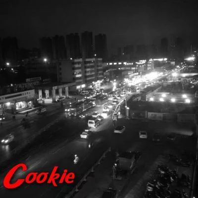 Cookie 淋雨的人