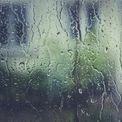 Rainy Sounds/Soothing Nature Sounds/125 Nature Sounds Loopable Rain Sounds for Instant Zen