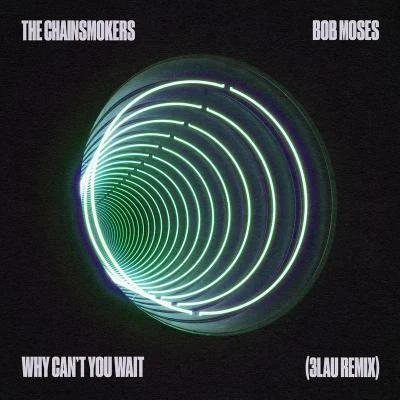 3LAU/The Chainsmokers/Bob Moses Why Cant You Wait (3LAU Remix)