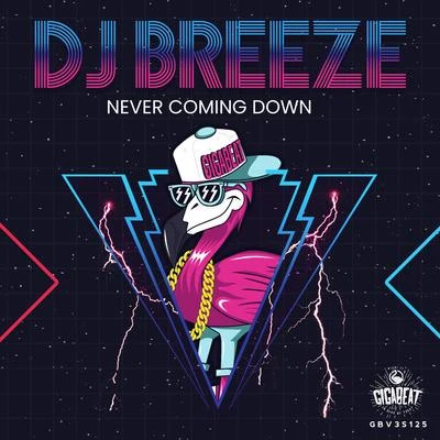 DJ Breeze Never Coming Down