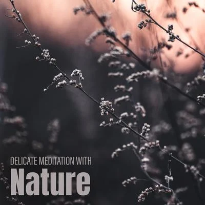 Meditation Music Club/Nature Sounds Artists Delicate Meditation with Nature – Calmness & Tranquil, Stress Relief, Calm Down, Relaxing Sounds Nature, Ambient Music, Yoga Meditation