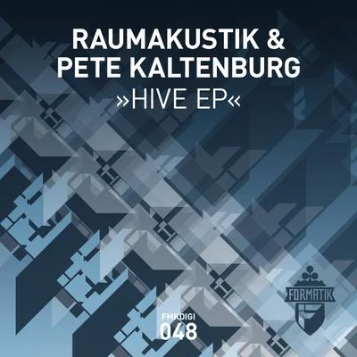 Raumakustik Hive EP