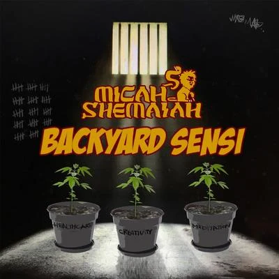 Micah Shemaiah Backyard Sensi