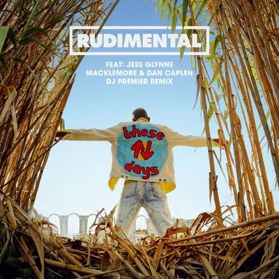 Jess Glynne/Macklemore/Rüdimental/Dan Caplen/DJ Premier These Days (DJ Premier Remix)