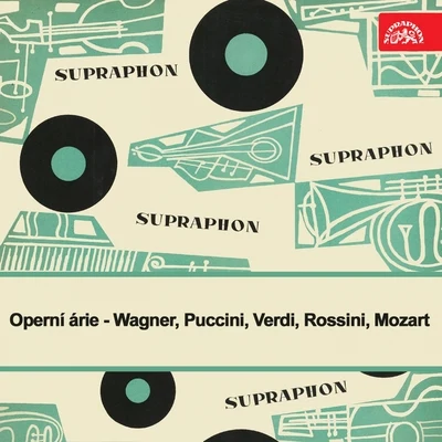 Prague Symphony Orchestra/Magda Janculescu/Václav Smetáček/Zdenek Chalabala/Prague National Theatre Orchestra/Christa Ziese Wagner, Puccini, Verdi, Rossini, Mozart: Opera Arias