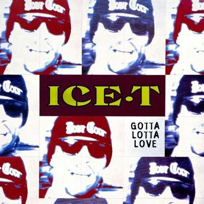 Ice T Gotta Lotta Love