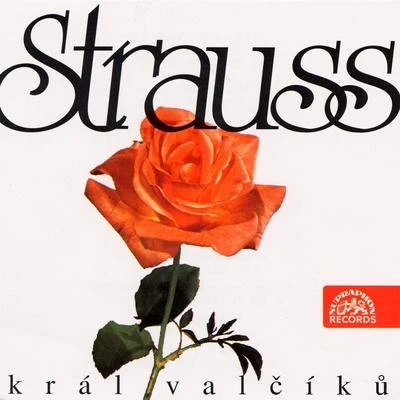 Miroslav Homolka Strauss: King of Waltz