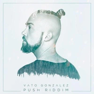 Vato Gonzalez Push Riddim (Original Mix)