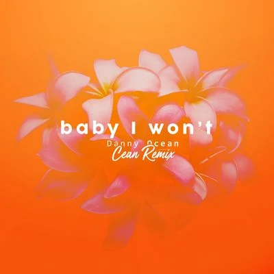 Danny Ocean Baby I Won't (Cean Remix)