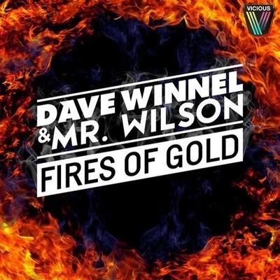 Dave Winnel/Mr. Wilson Fires Of Gold