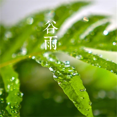 趙方婧 穀雨（2週年）