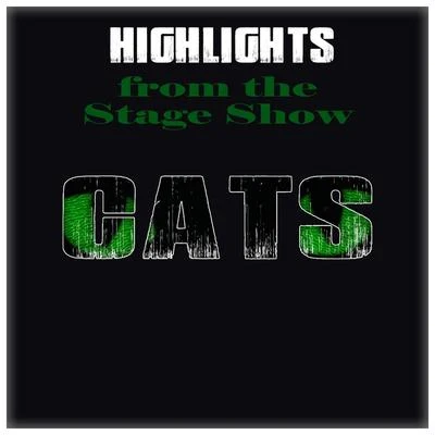 Andrew Lloyd Webber Highlights from the Stage Show Cats