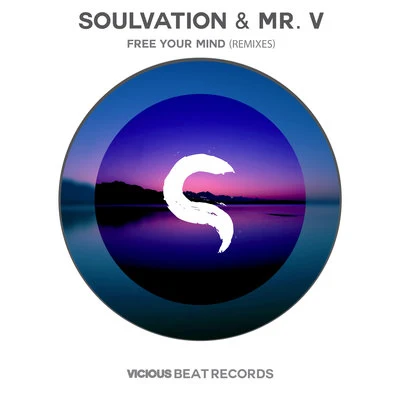 Mr. V/Soulvation Free Your Mind (Remixes)