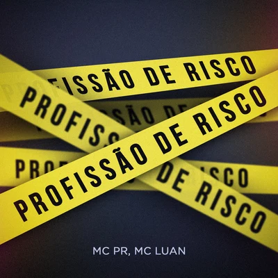 MC PR/Mc Luan Profissão de Risco