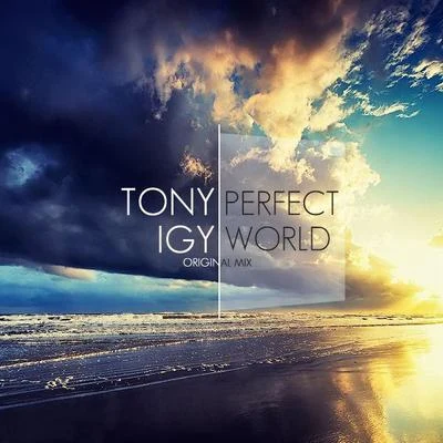 Tony Igy Perfect World