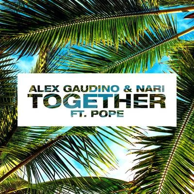 Alex Gaudino Together