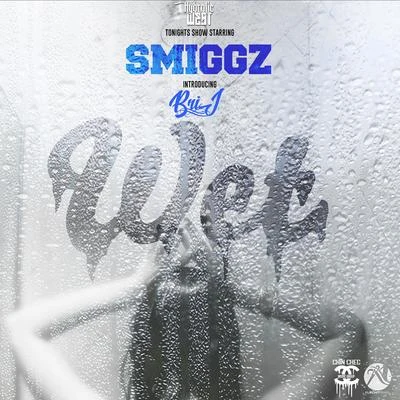 Smiggz/Hydrolic West Wet