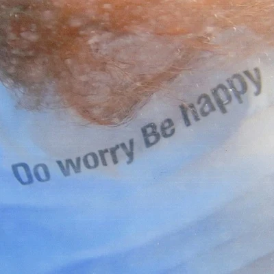 Primary/Andà Do worry Be happy