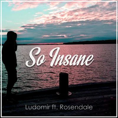 LUDOMIR/Rosendale So Insane (feat. Rosendale)