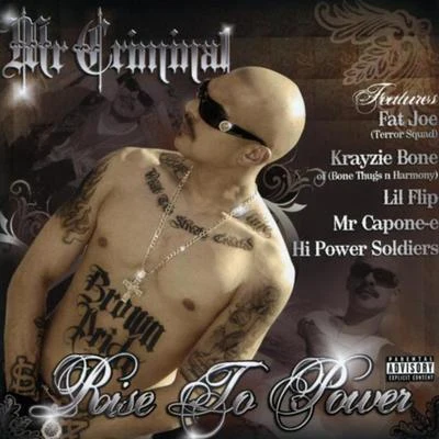 Mr. Criminal Rise 2 Power