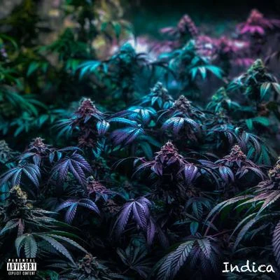 TMack Indica - EP