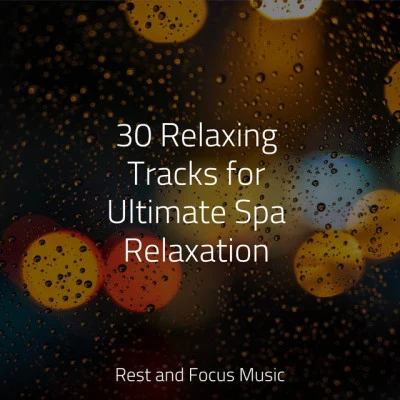 Mindfulness Mediation World/Relaxed Minds/Oasis de Détente et Relaxation 30 Relaxing Tracks for Ultimate Spa Relaxation