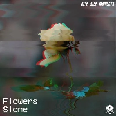 Bite Size Moments/Slone/Millennium Jazz Music Flowers