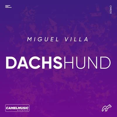 Miguel Villa DACHSHUND