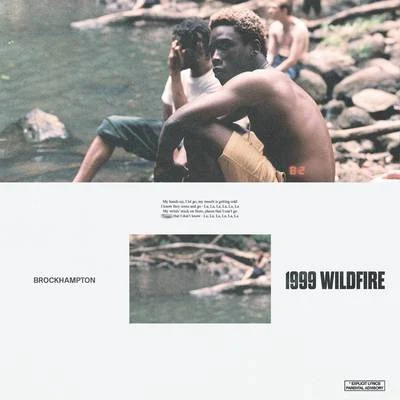 BROCKHAMPTON 1999 WILDFIRE