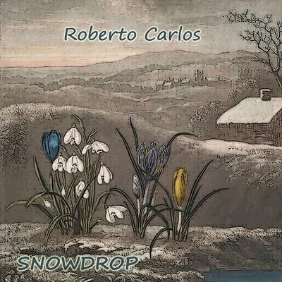 Roberto Carlos Snowdrop