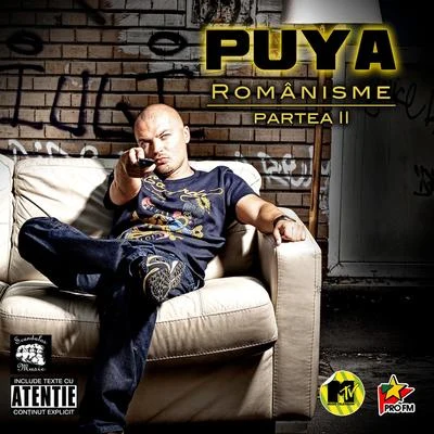 Puya Romanisme - partea a 2-a (Romanisme - 2nd part)