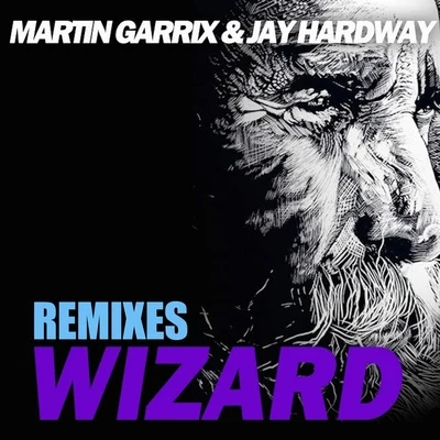 Martin Garrix/TCHAMI/Mike Hawkins/Yellow Claw/Jay Hardway/Tom &amp; Jame Wizard (The Remixes)