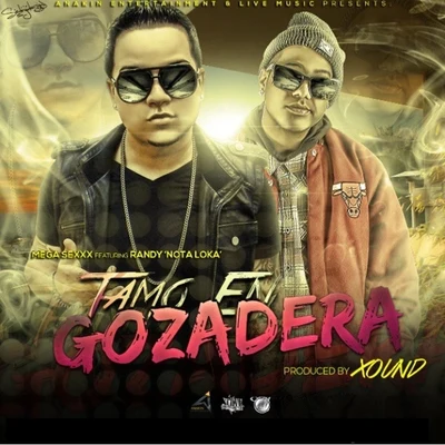 Randy Nota Loka/Mega Sexxx Tamo en Gozadera (Radio Edit) [feat. Randy Nota Loka]