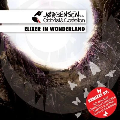 Jorgensen/Gabriel &amp; Castellon Elixer In Wonderland