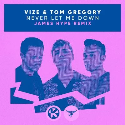 VIZE/Tom Gregory Never Let Me Down (James Hype Remix)