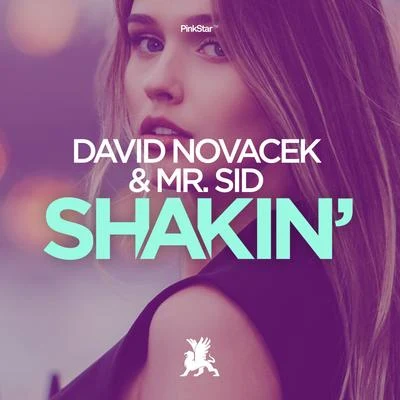 David Novacek/Mr. Sid Shakin'