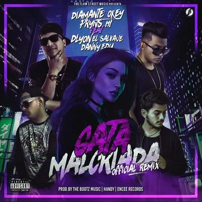 Danny edu/DL有one LS Alva JE/The Bootz Music/Diamante Okey/PrynsHT Gata Malcriada (Remix)