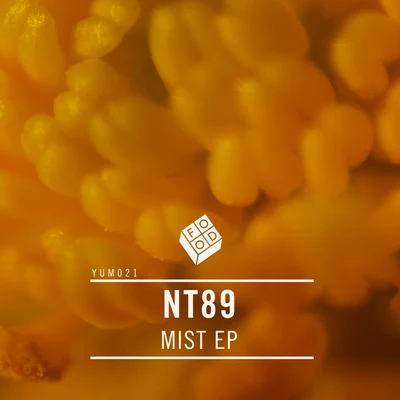 NT89 Mist EP