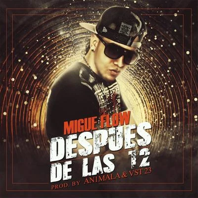 Migue Flow Despues de las 12