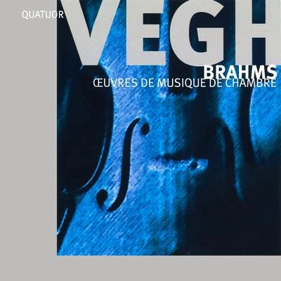 Quatuor Végh Brahms: Oeuvres de musique de chambre