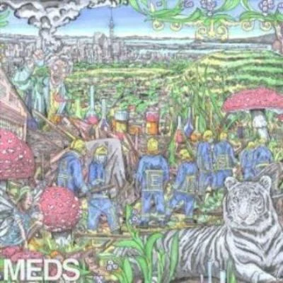 Mt Eden MEDS